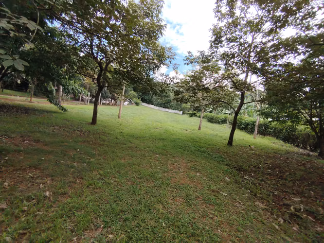 Venta de lote 2715 m2 en Pérez Zeledón - Imagen 5