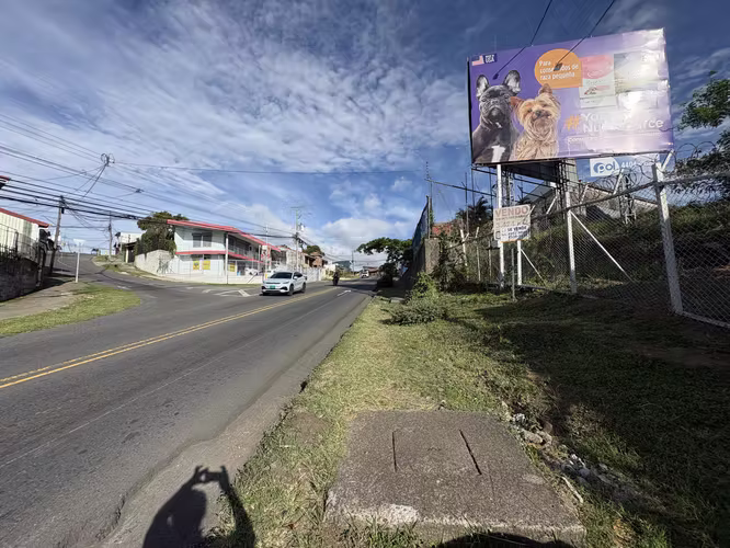 Santo Domingo Heredia Precioso Lote #455