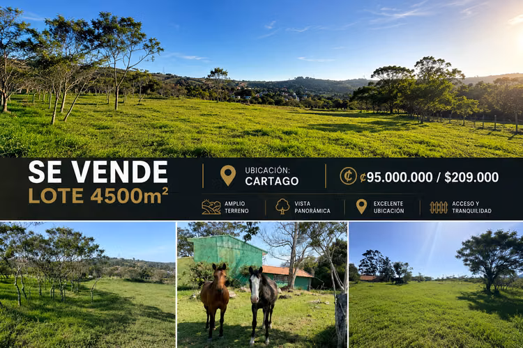 LOTE EN VENTA EN CARTAGO 4500m2