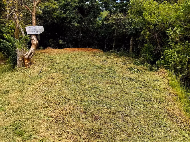 Lote con Vista al Golfo en Santa Elena, Monteverde, Puntarenas - Imagen 8