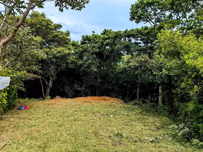 Lote con Vista al Golfo en Santa Elena, Monteverde, Puntarenas - Imagen 2