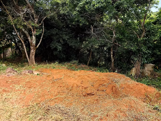 Lote con Vista al Golfo en Santa Elena, Monteverde, Puntarenas - Imagen 4