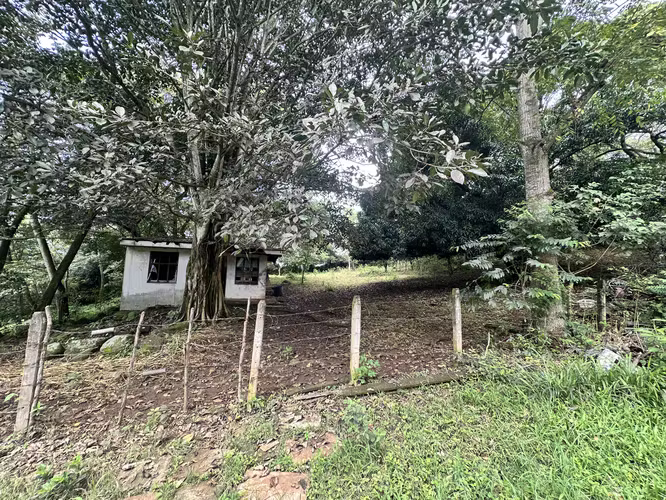 OPORTUNIDAD Lote plano en venta  / 1,597m2 /  Turrucares, Alajuela (FAU) - Imagen 3