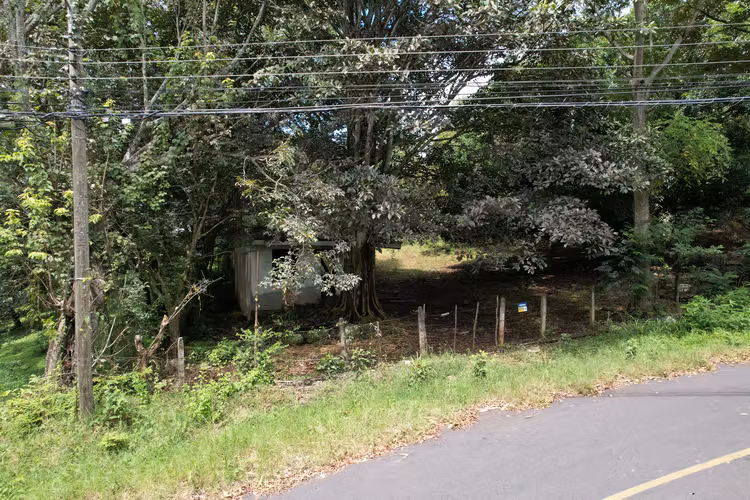 OPORTUNIDAD Lote plano en venta  / 1,597m2 /  Turrucares, Alajuela (FAU) - Imagen 4