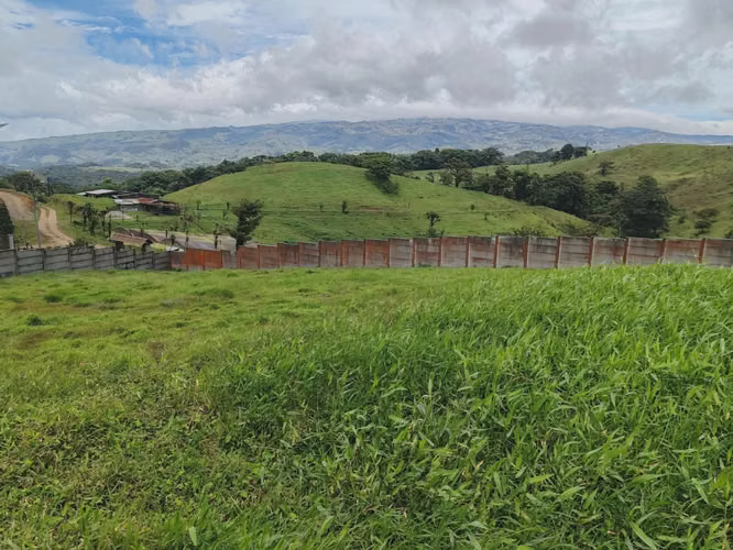 Propiedad de tres lotes en las montañas de San Ramon - Imagen 7