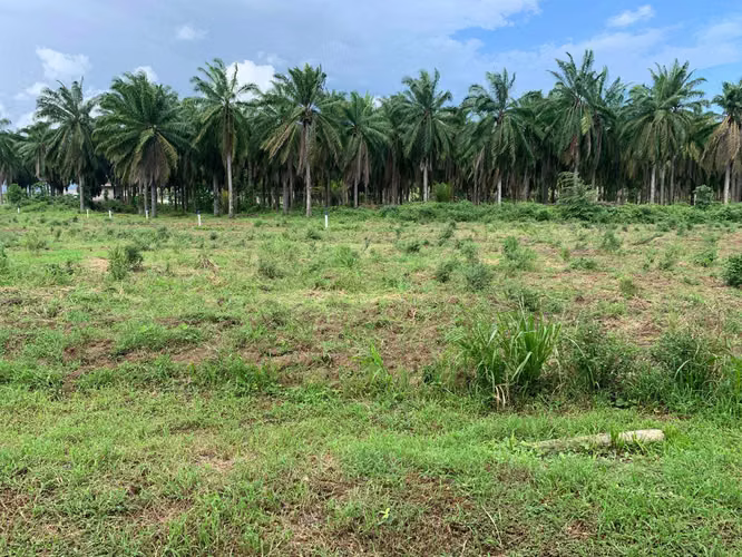 Lote Playa Bandera 316mts · Parrita, Puntarenas