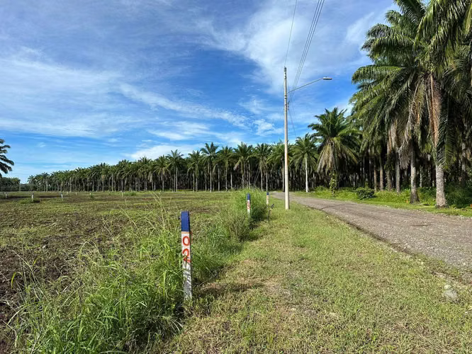 Lote Playa Bandera 316mts · Parrita, Puntarenas - Imagen 11