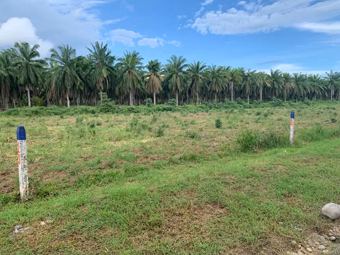 Lote Playa Bandera 316mts · Parrita, Puntarenas - Imagen 6