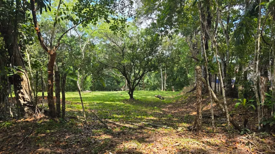 Lote con Quebrada y Bosque Natural en San Mateo | 2.506 m²