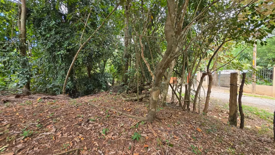 Lote con Quebrada y Bosque Natural en San Mateo | 2.506 m²