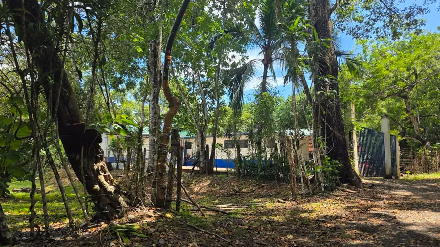 Lote con Quebrada y Bosque Natural en San Mateo | 2.506 m²