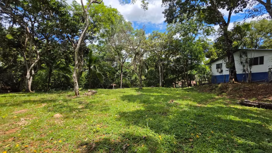Lote con Quebrada y Bosque Natural en San Mateo | 2.506 m²