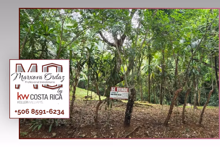 Lote con Quebrada y Bosque Natural en San Mateo | 2.506 m²