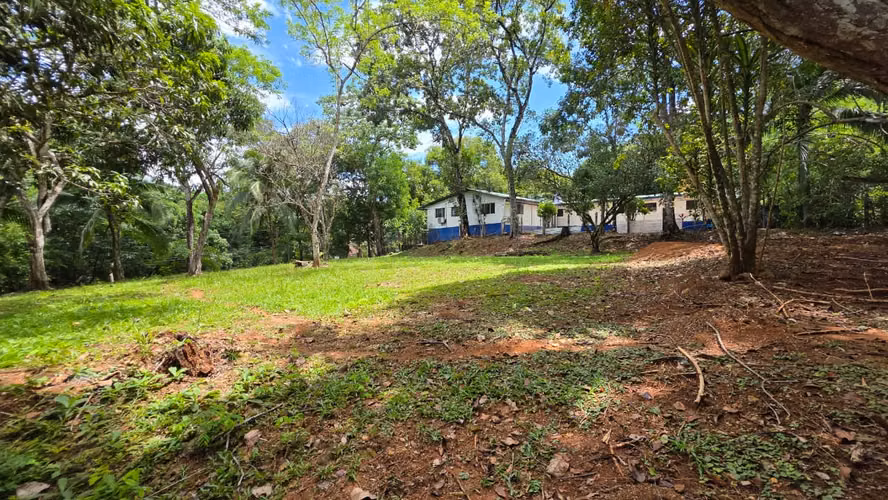 Lote con Quebrada y Bosque Natural en San Mateo | 2.506 m²