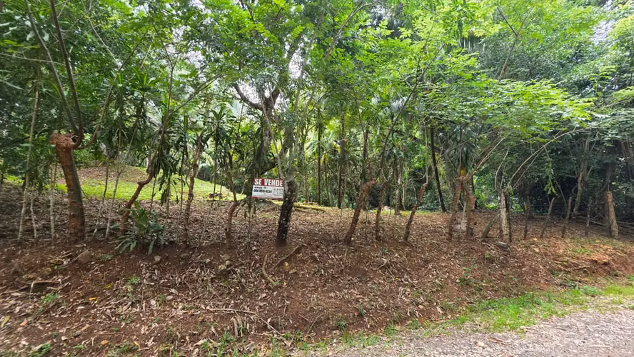 Lote con Quebrada y Bosque Natural en San Mateo | 2.506 m²