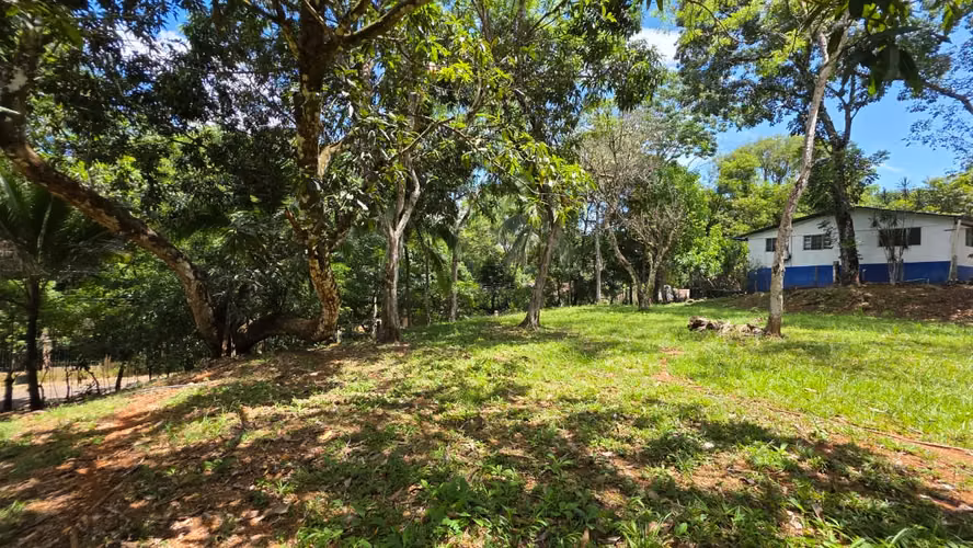 Lote con Quebrada y Bosque Natural en San Mateo | 2.506 m²