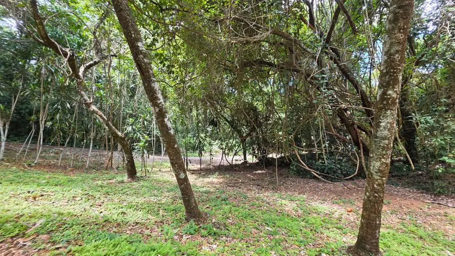 Lote con Quebrada y Bosque Natural en San Mateo | 2.506 m²
