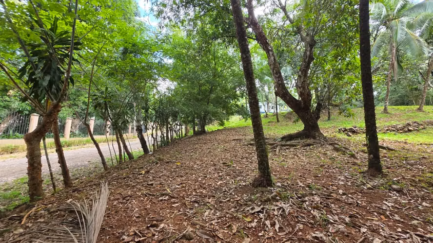 Lote con Quebrada y Bosque Natural en San Mateo | 2.506 m²