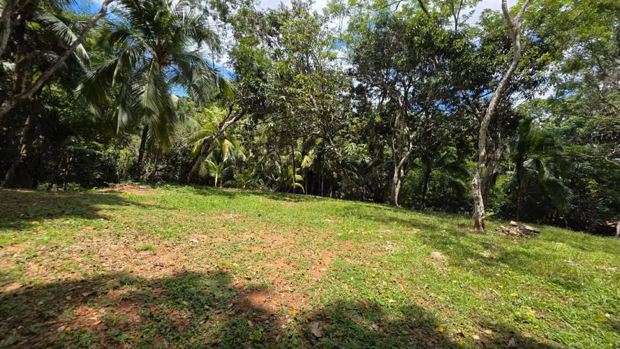 Lote con Quebrada y Bosque Natural en San Mateo | 2.506 m²