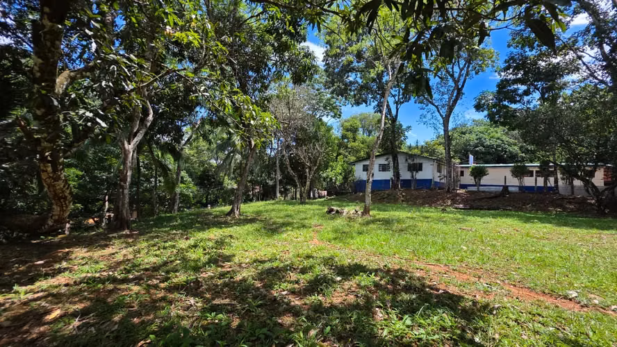 Lote con Quebrada y Bosque Natural en San Mateo | 2.506 m²