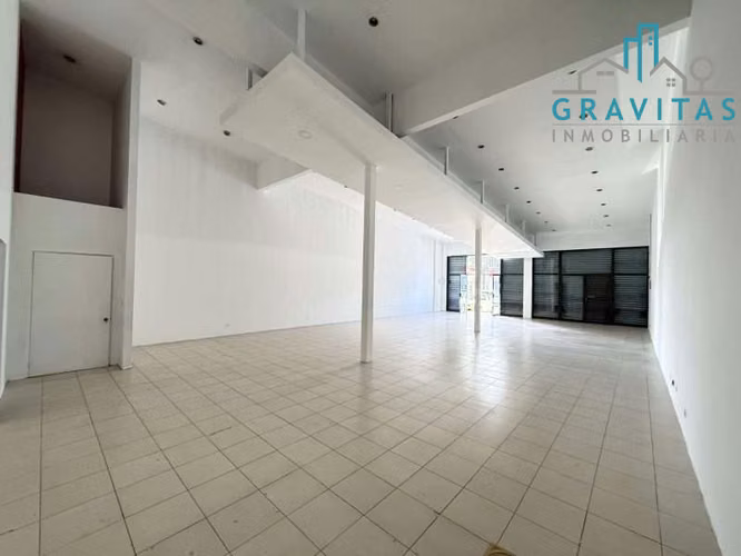 Alquiler de local comercial, frente a Paseo Colón, uso comercial 2300m2 ID 2026 - Imagen 4