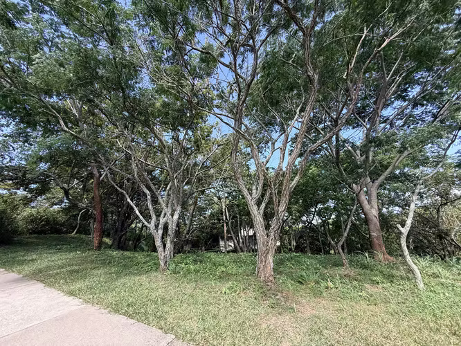 Venta de lote en Condominio en Brasil de Mora - Imagen 2