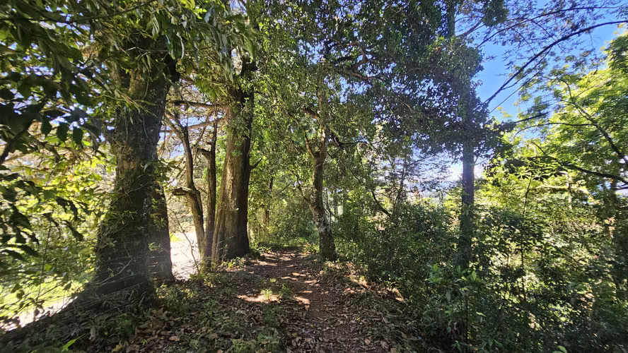 Se Vende Propiedad en Tarbaca con increíbles vistas. - 03