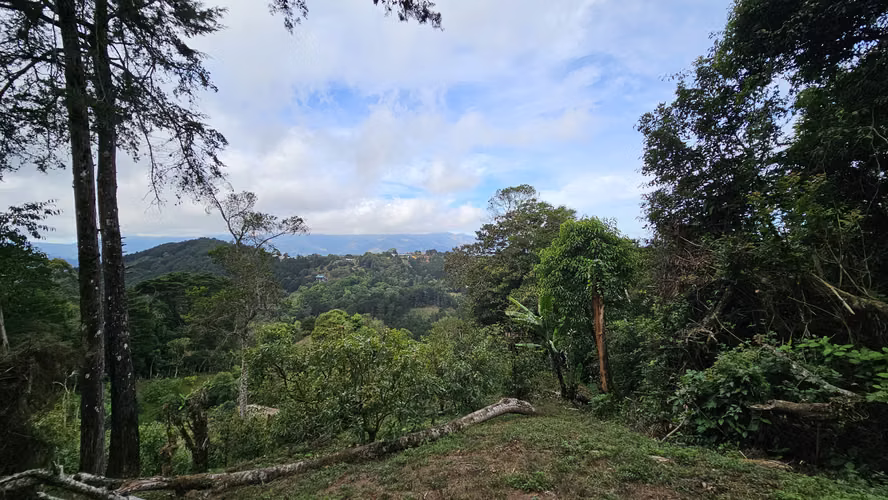 Se Vende Propiedad en Tarbaca con increíbles vistas. - 03