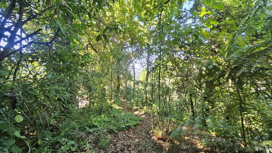 Se Vende Propiedad en Tarbaca con increíbles vistas. - 03