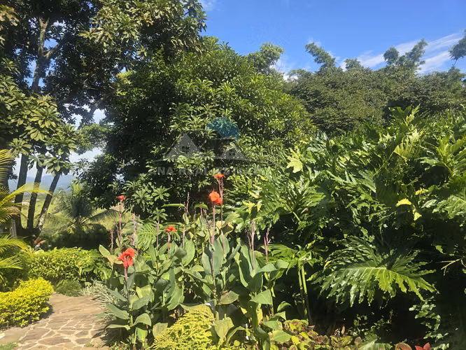 Espectacular propiedad con piscina en La Garita de Alajuela - Imagen 19
