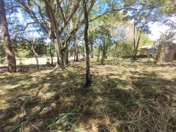VENTA DE TERRENO EN RESIDENCIAL MONTISEL, LA GARITA DE ALAJUELA - Imagen 2