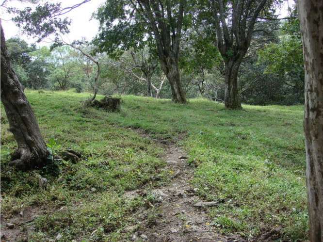 VENTA DE LOTE USO MIXTO Y MEDIA DENSIDAD, SAN JOSE, SANTA ANA, POZOS - Imagen 8