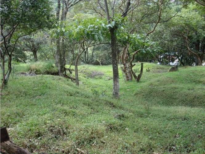 VENTA DE LOTE USO MIXTO Y MEDIA DENSIDAD, SAN JOSE, SANTA ANA, POZOS - Imagen 7