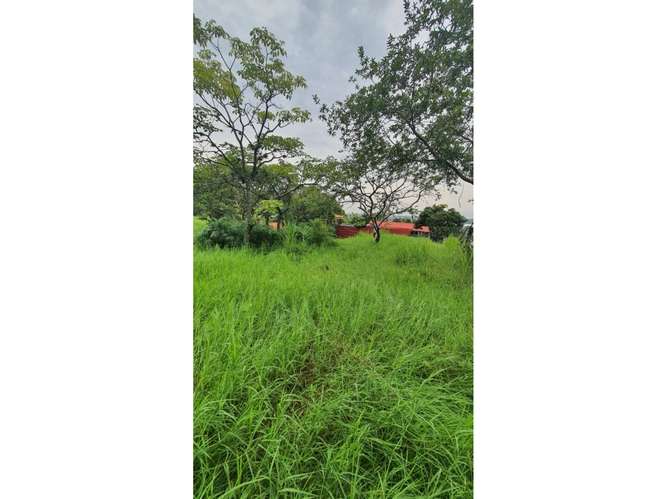 VENTA DE LOTE USO MIXTO Y MEDIA DENSIDAD, SAN JOSE, SANTA ANA, POZOS - Imagen 3