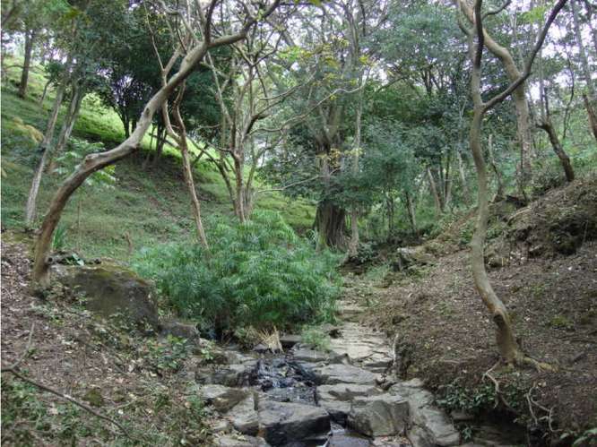 VENTA DE LOTE USO MIXTO Y MEDIA DENSIDAD, SAN JOSE, SANTA ANA, POZOS - Imagen 6