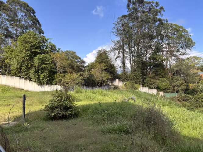  Lote en venta | San Pedro, Montes de Oca | 1.801 m² | USD $250.000 - Imagen 4