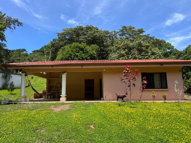 Finca de 3.79 hectáreas en Ciudad Colón - Imagen 3