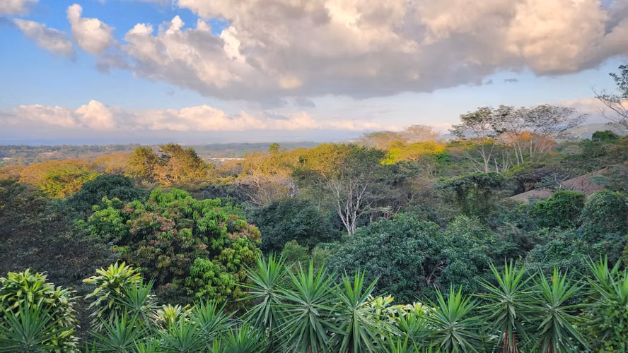 Finca de 3.79 hectáreas en Ciudad Colón - Imagen 7
