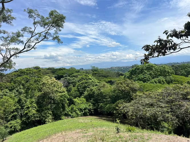 Finca de 3.79 hectáreas en Ciudad Colón - Imagen 2
