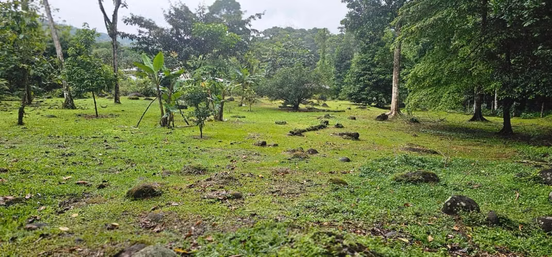 Se venden dos cabañas por separado, en Gúapiles - Imagen 16
