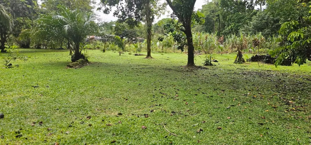 Se venden dos cabañas por separado, en Gúapiles - Imagen 14