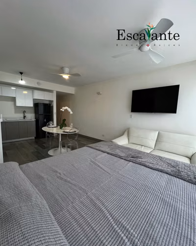 Alquiler de estudio en Ser Escalante