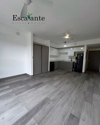 Alquiler de estudio en Ser Escalante