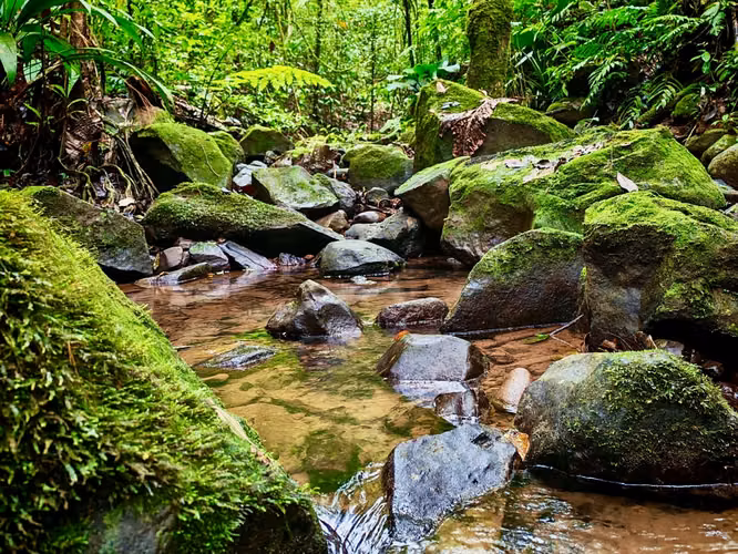 TESORO ESCONDIDO | Eco Estate Off-Grid en Costa Rica
