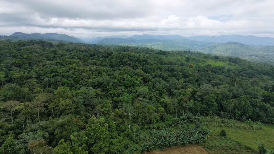 TESORO ESCONDIDO | Eco Estate Off-Grid en Costa Rica
