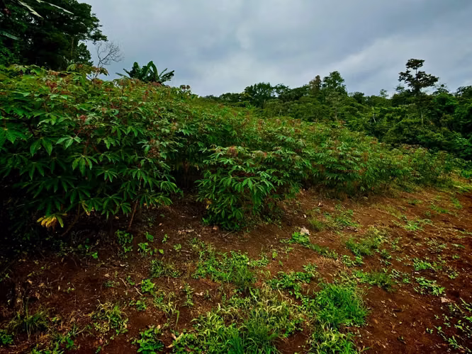 TESORO ESCONDIDO | Eco Estate Off-Grid en Costa Rica