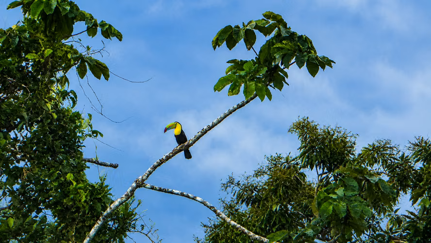 TESORO ESCONDIDO | Eco Estate Off-Grid en Costa Rica