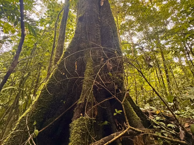 TESORO ESCONDIDO | Eco Estate Off-Grid en Costa Rica