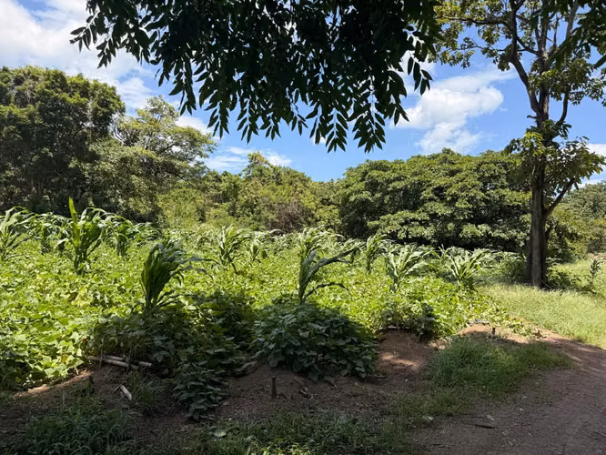 Venta Terreno | Alta Densidad | 13,480 m2 | Pozos de Santa Ana (FAU)