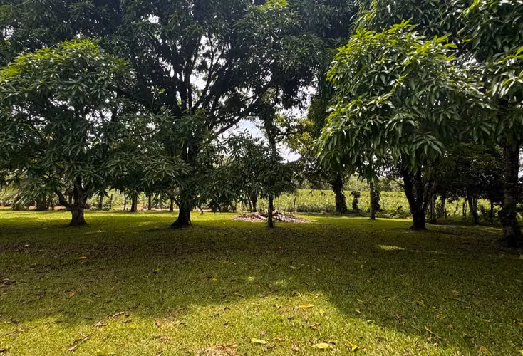 QUINTA EN TERRENO PRIVILEGIADO | Donde la naturaleza se convierte en patrimonio - Imagen 3
